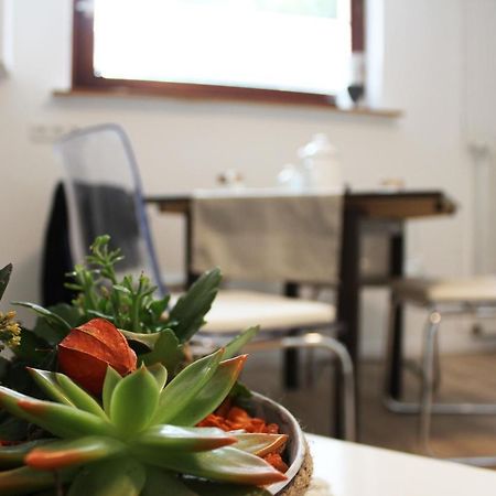 Ferienwohnung Landlust Wolfenbuettel Denkte Zewnętrze zdjęcie